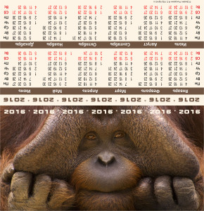Календарь настольный домик
